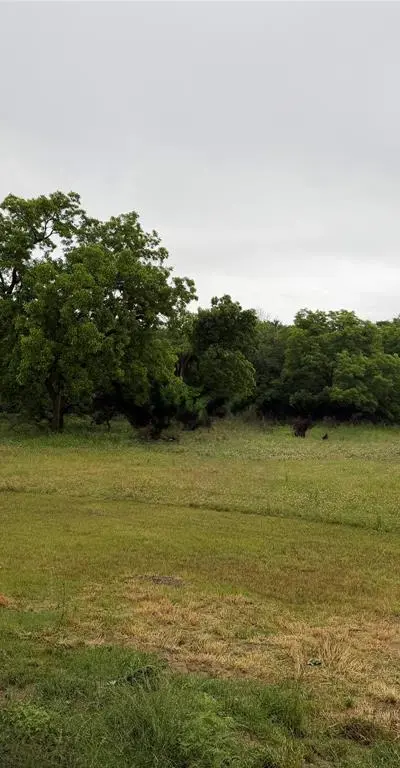 2191 Business Highway 377, Whitesboro TX 76273 - Photo 5