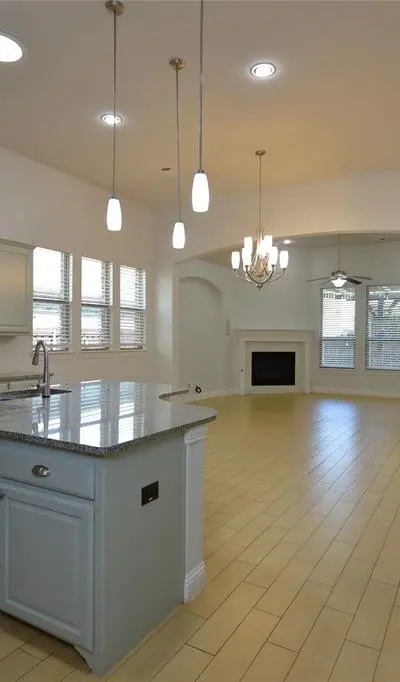 3707 Plum Vista Place, Arlington TX 76005 - Photo 5