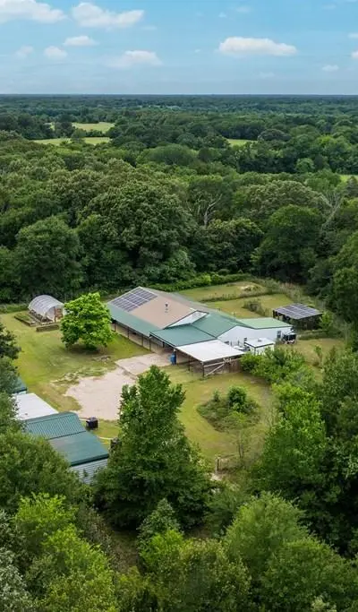 15800 County Road 4009, Mabank TX 75147 - Photo 5