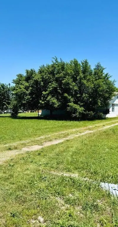 310 Broadway Avenue, Anna TX 75409 - Photo 3