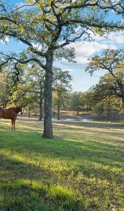 12664 Highway 199 W, Poolville TX 76487 - Photo 4