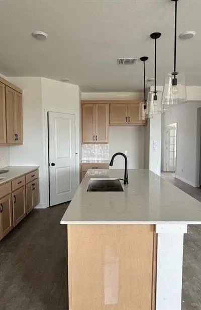 676 Tyronza Drive, Justin TX 76247 - Photo 4