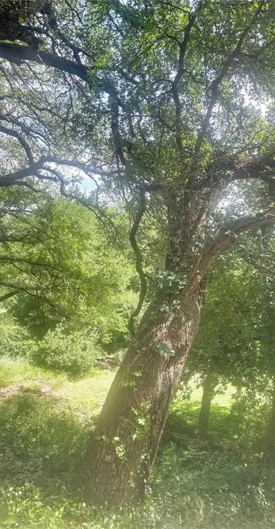 101 River View Road, Millsap TX 76066 - Photo 4