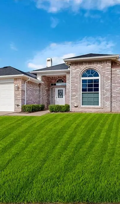 211 Ember Glen Drive, Arlington TX 76018 - Photo 5