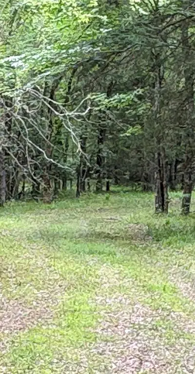 2212 County Road 4128, Cumby TX 75433 - Photo 4