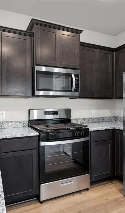 3917 Starry Night Cove, Sherman TX 75092 - Photo 2