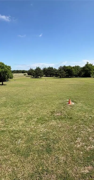 8041 State Highway 11, Sherman TX 75090 - Photo 3