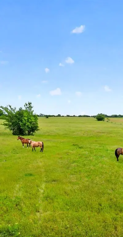 994 County Road 3925, Wolfe City TX 75496 - Photo 5