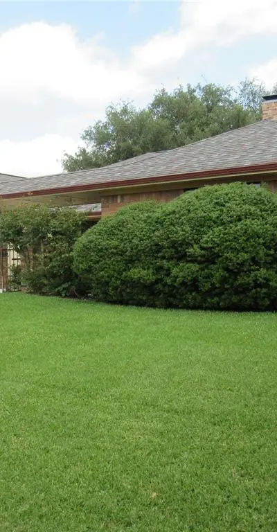 2510 Buttercup Drive, Richardson TX 75082 - Photo 5