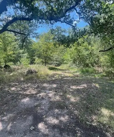 17754 C. R.  4052, Kemp TX 75143 - Photo 4