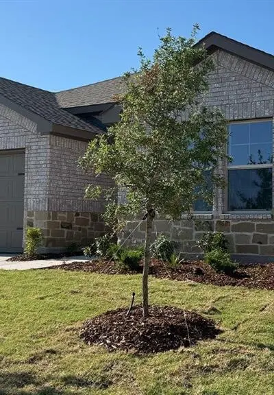 313 Riverbrook Lane, Josephine TX 75135 - Photo 2