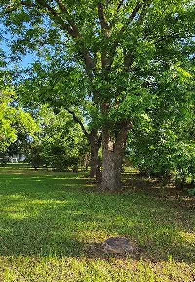408 Buchanan Street, Whitesboro TX 76273 - Photo 2