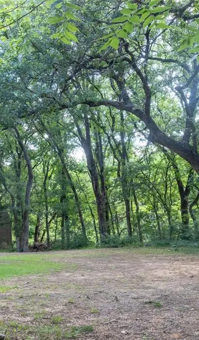 12008 SADDLEHORN Lane, Mansfield TX 76063 - Photo 2