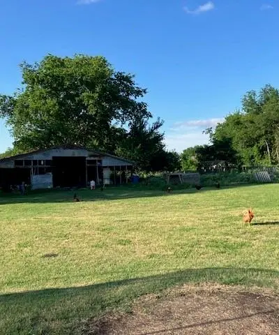 1023 County Road 4737, Cumby TX 75433 - Photo 4