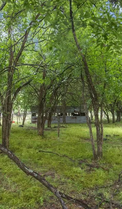 419 W Main Street, Pecan Gap TX 75469 - Photo 5
