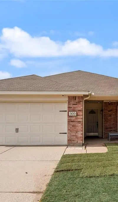 300 Meadow View Lane, Anna TX 75409 - Photo 2