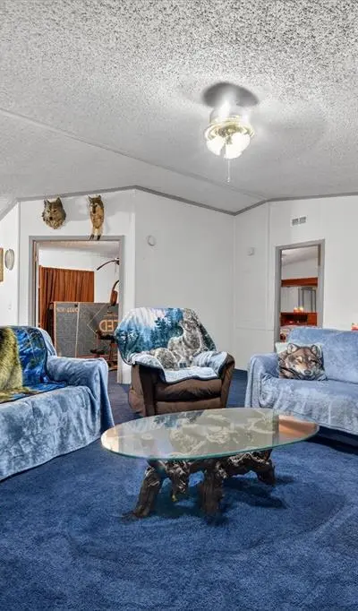 245 Ross Lane, Boyd TX 76023 - Photo 5