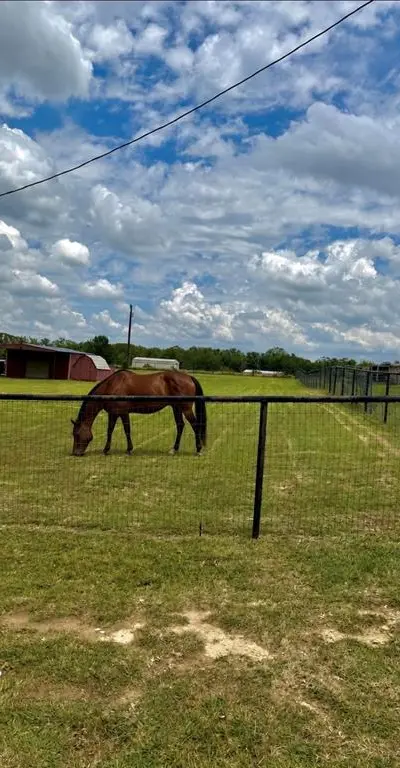 826 Gilliland Road, Springtown TX 76082 - Photo 4