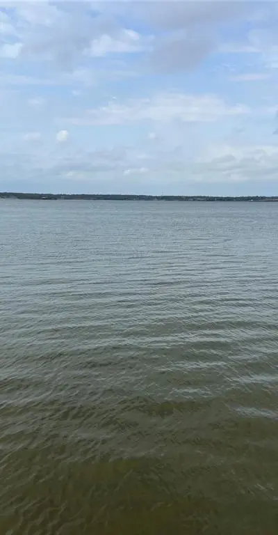 135 Island Park Drive, Gun Barrel City TX 75156 - Photo 2