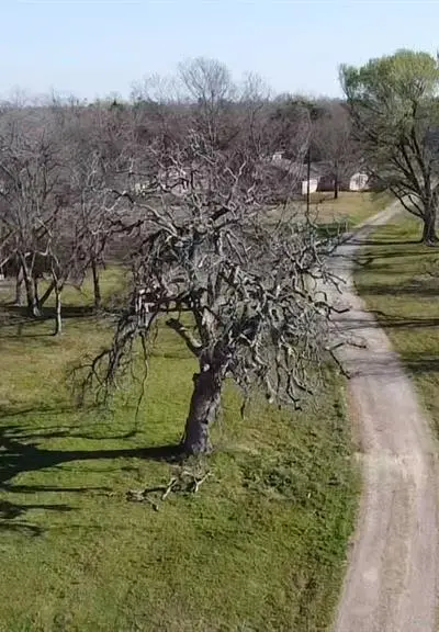 16583 Bowling Lane, Terrell TX 75161 - Photo 3