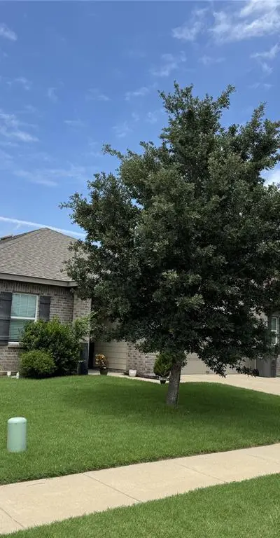 2209 Cinnamon Springs Road, Glenn Heights TX 75154 - Photo 4