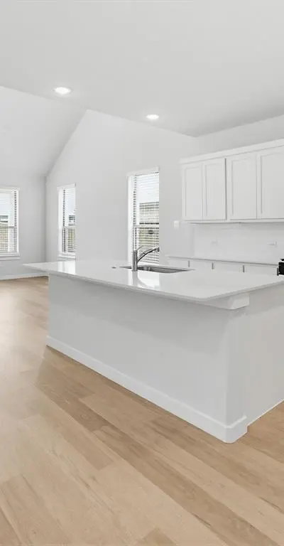 14736 Desert Door Drive, Fort Worth TX 76052 - Photo 3