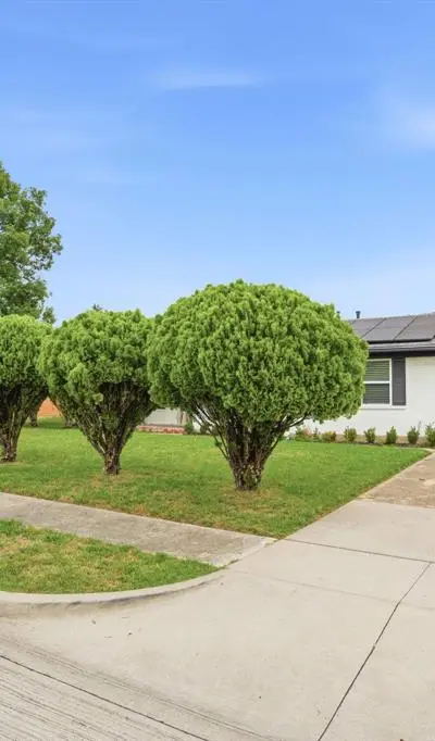 1513 Japonica Lane, Plano TX 75074 - Photo 3