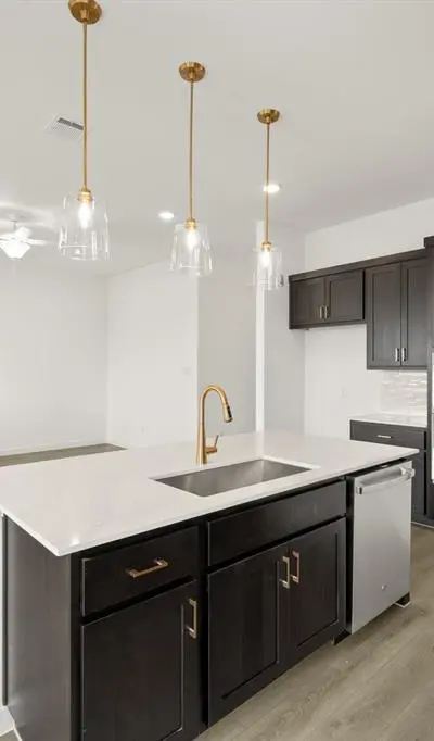 680 Tyronza Drive, Justin TX 76247 - Photo 4