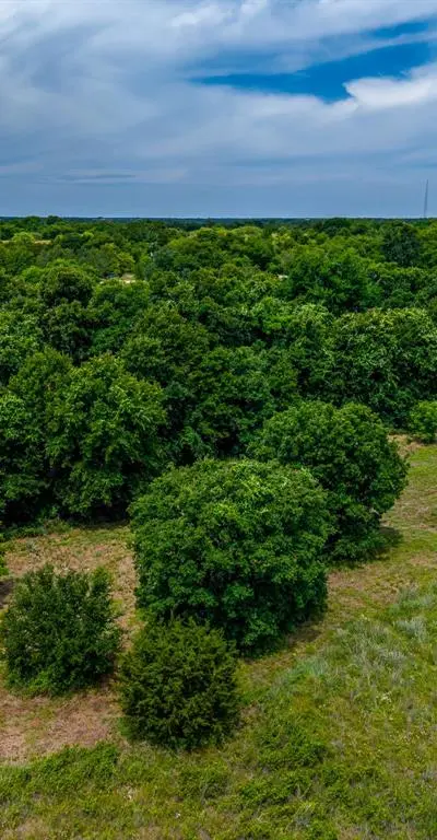 350 Red Top Road, Poolville TX 76487 - Photo 5