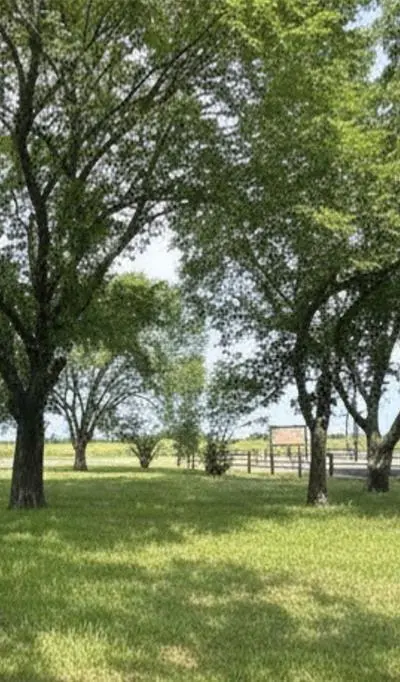 5772 N State Highway 78, Bonham TX 75418 - Photo 4