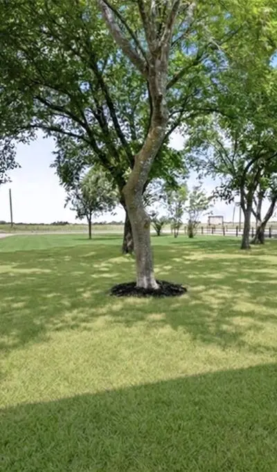 5772 N State Highway 78, Bonham TX 75418 - Photo 5