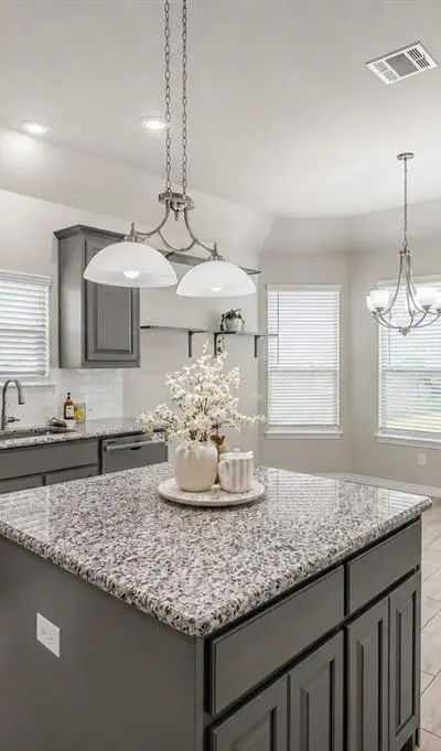 1224 Palo Duro Court, Burleson TX 76028 - Photo 4