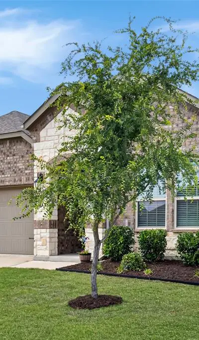 11231 Hawks Landing Drive, Aubrey TX 76227 - Photo 3