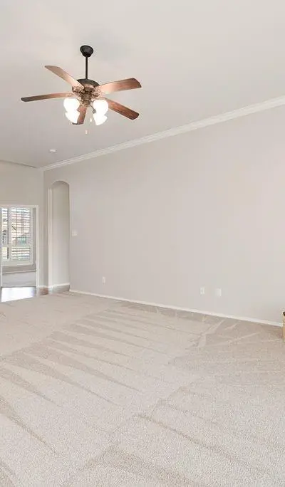 117 Thames Circle, Waxahachie TX 75165 - Photo 5