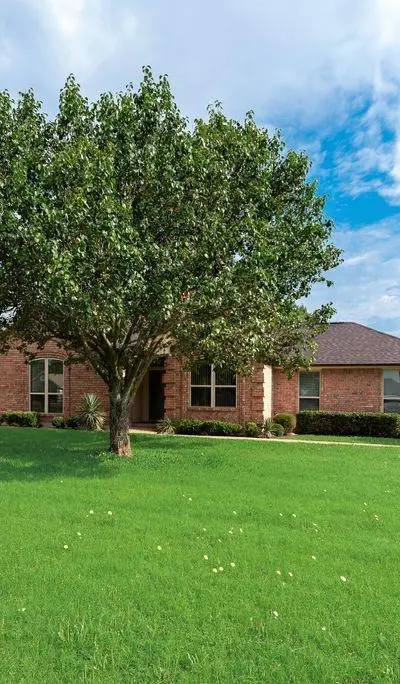 517 Hiwasee Road, Waxahachie TX 75165 - Photo 4