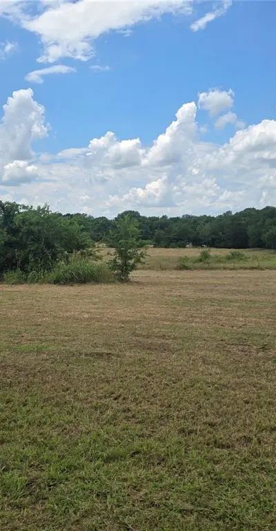 2225 County Road 700, Farmersville TX 75442 - Photo 3