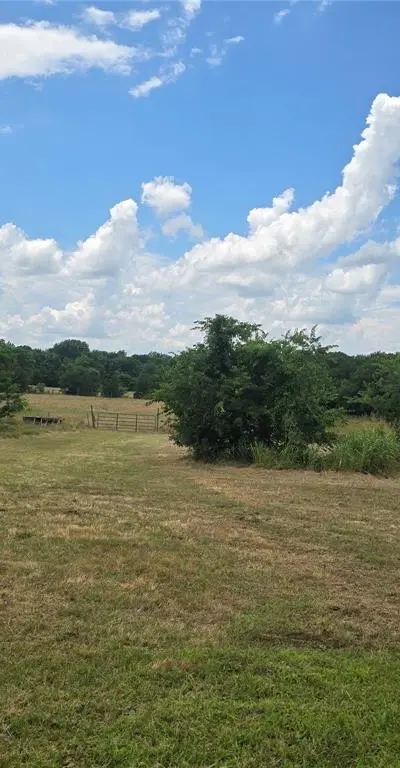 2225 County Road 700, Farmersville TX 75442 - Photo 4