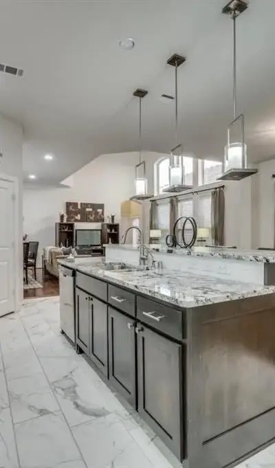 6631 Deleon Street, Irving TX 75039 - Photo 4