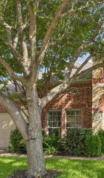 4605 Forest Cove Drive, McKinney TX 75071