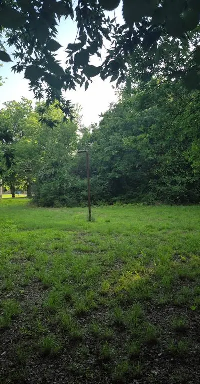 317/319 Elba Street, Bowie TX 76230 - Photo 4