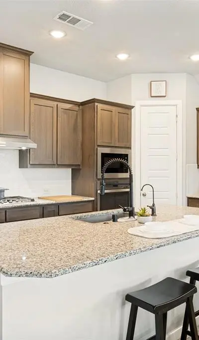 308 Moonvine Drive, Little Elm TX 75068 - Photo 4