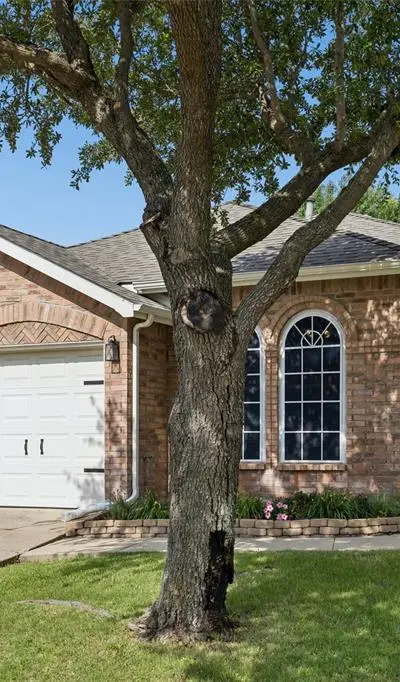 501 Fireberry Drive, Fate TX 75087