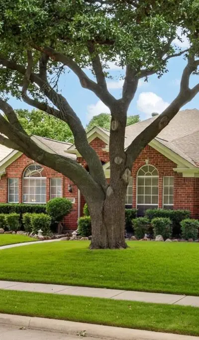 4713 Bear Run Drive, Plano TX 75093 - Photo 3