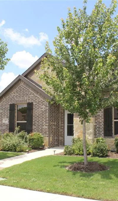 217 Foreman Drive, Midlothian TX 76065 - Photo 4