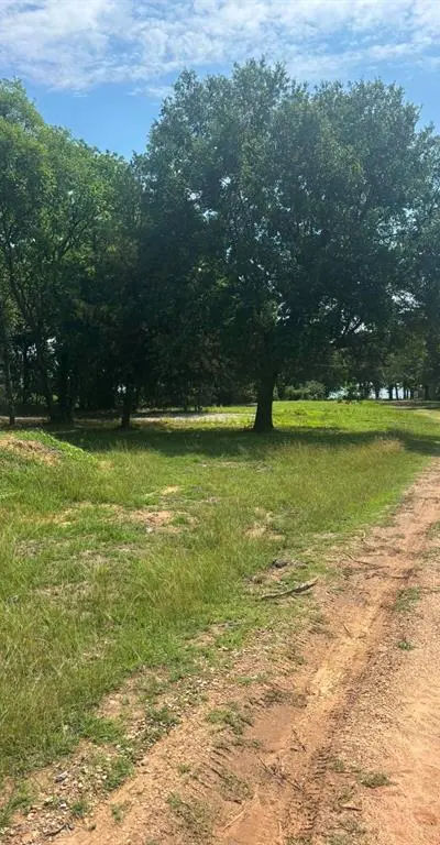 1429 Oak Hill Drive, Kemp TX 75143 - Photo 4