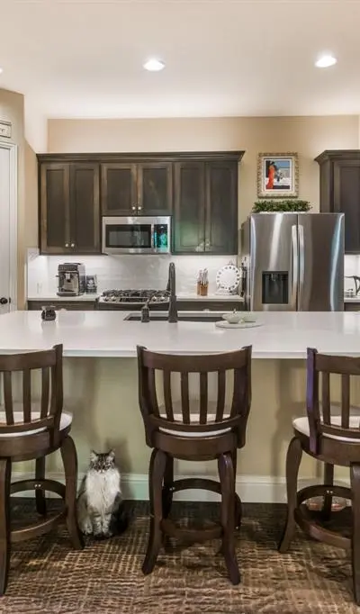 3905 Jasmine Fox Lane, Arlington TX 76005 - Photo 5