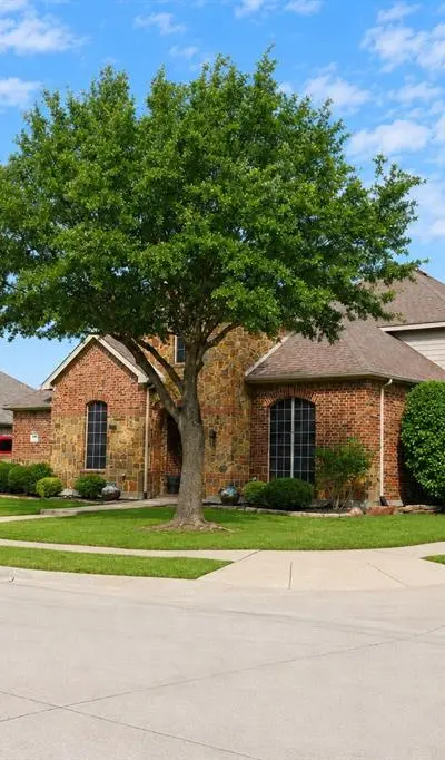 305 Westlake, Forney TX 75126 - Photo 3