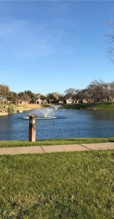 41 Bass Pond Drive, Frisco TX 75034 - Photo 3