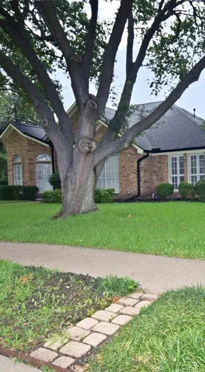 2902 Live Oak Drive, Rowlett TX 75088 - Photo 3