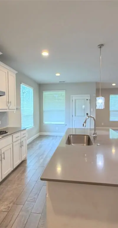 1324 Razorbill Road, Denton TX 76205 - Photo 3